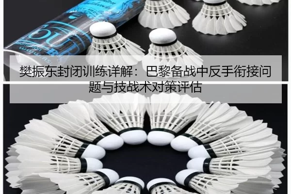 樊振东封闭训练详解：巴黎备战中反手衔接问题与技战术对策评估